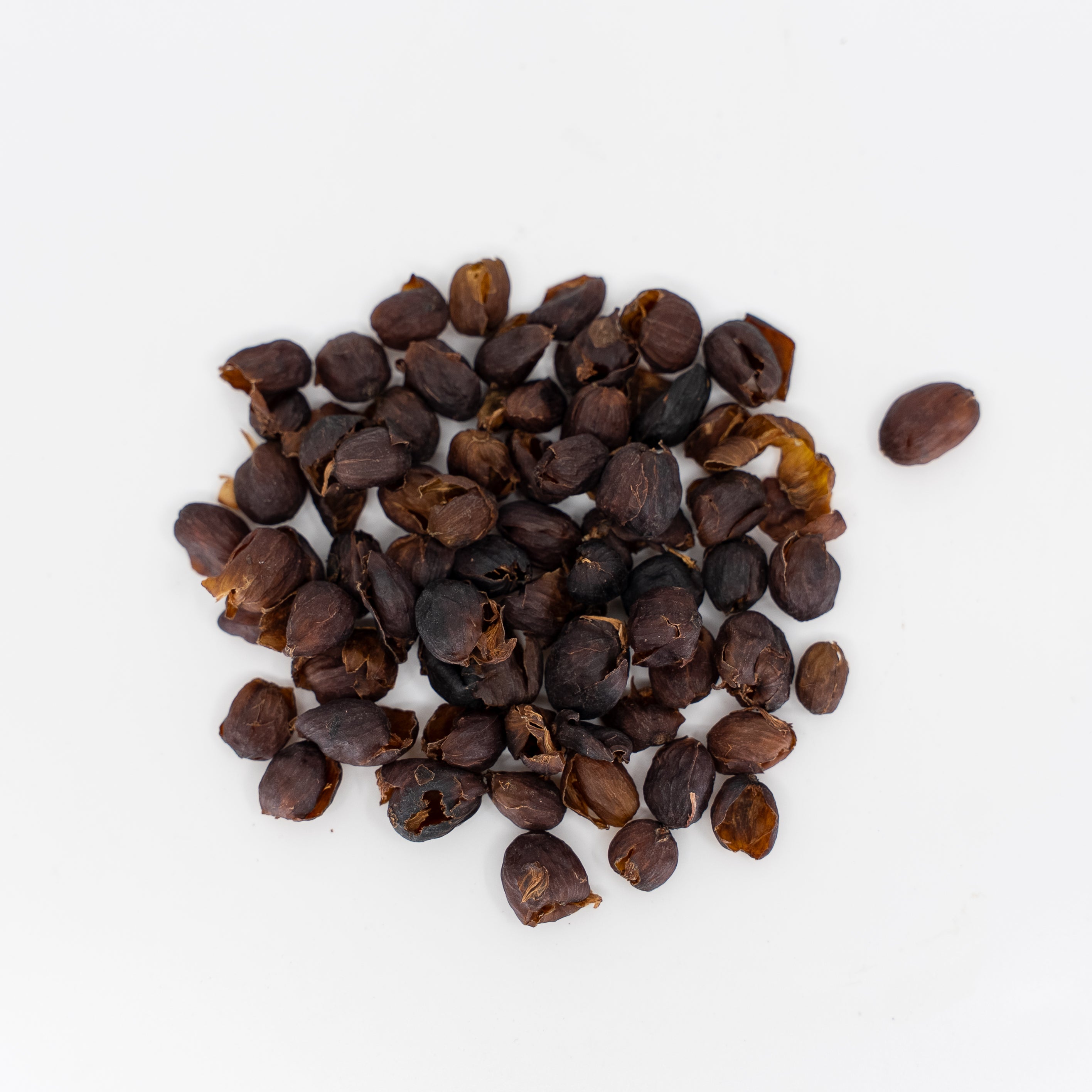Costa Rica Helsar Micromill Cáscara -Coffee Cherry Tea