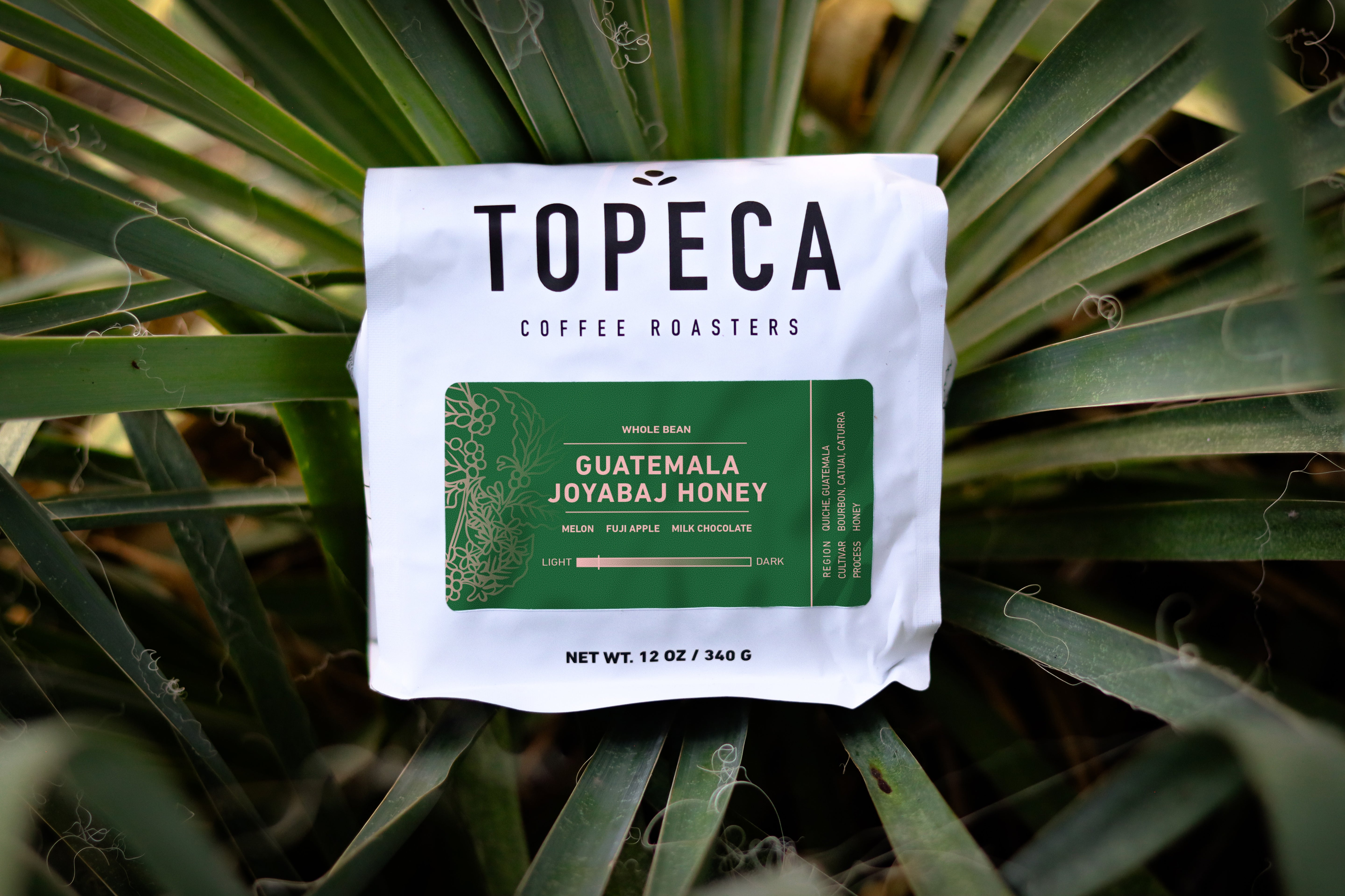 Guatemala Joyabaj Honey