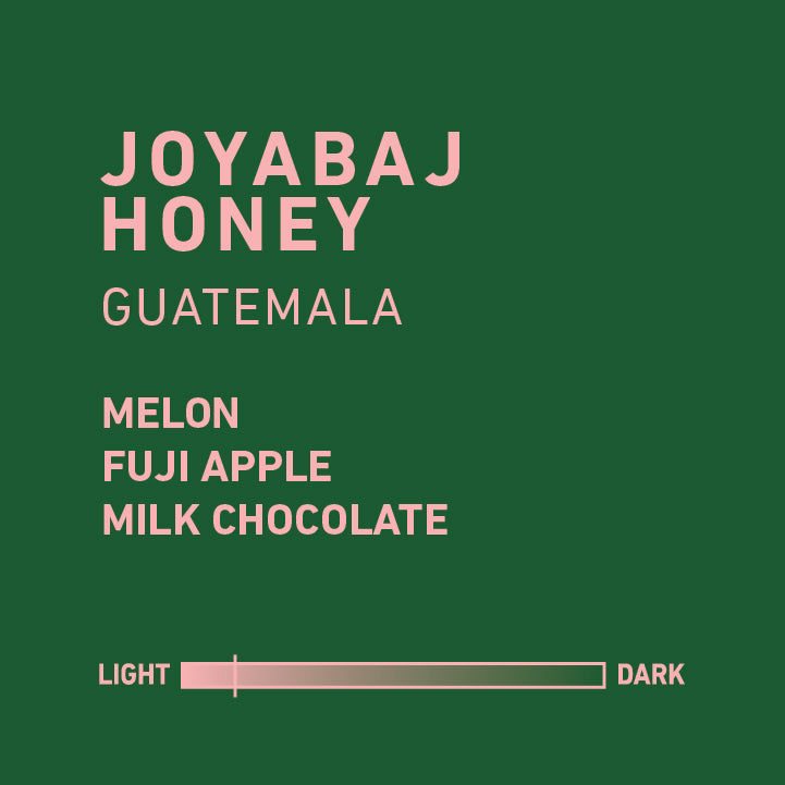 Guatemala Joyabaj Honey