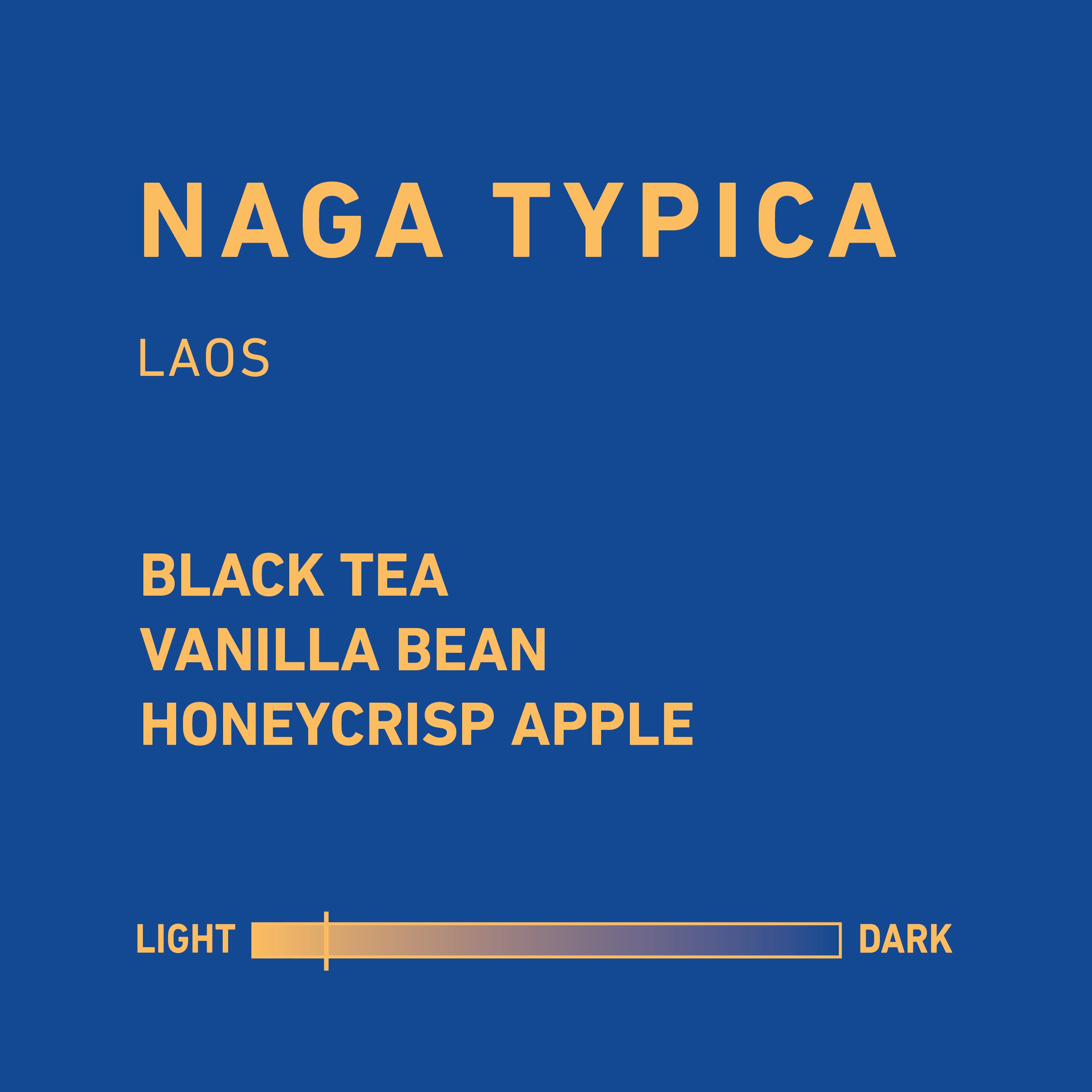 Laos Naga Typica
