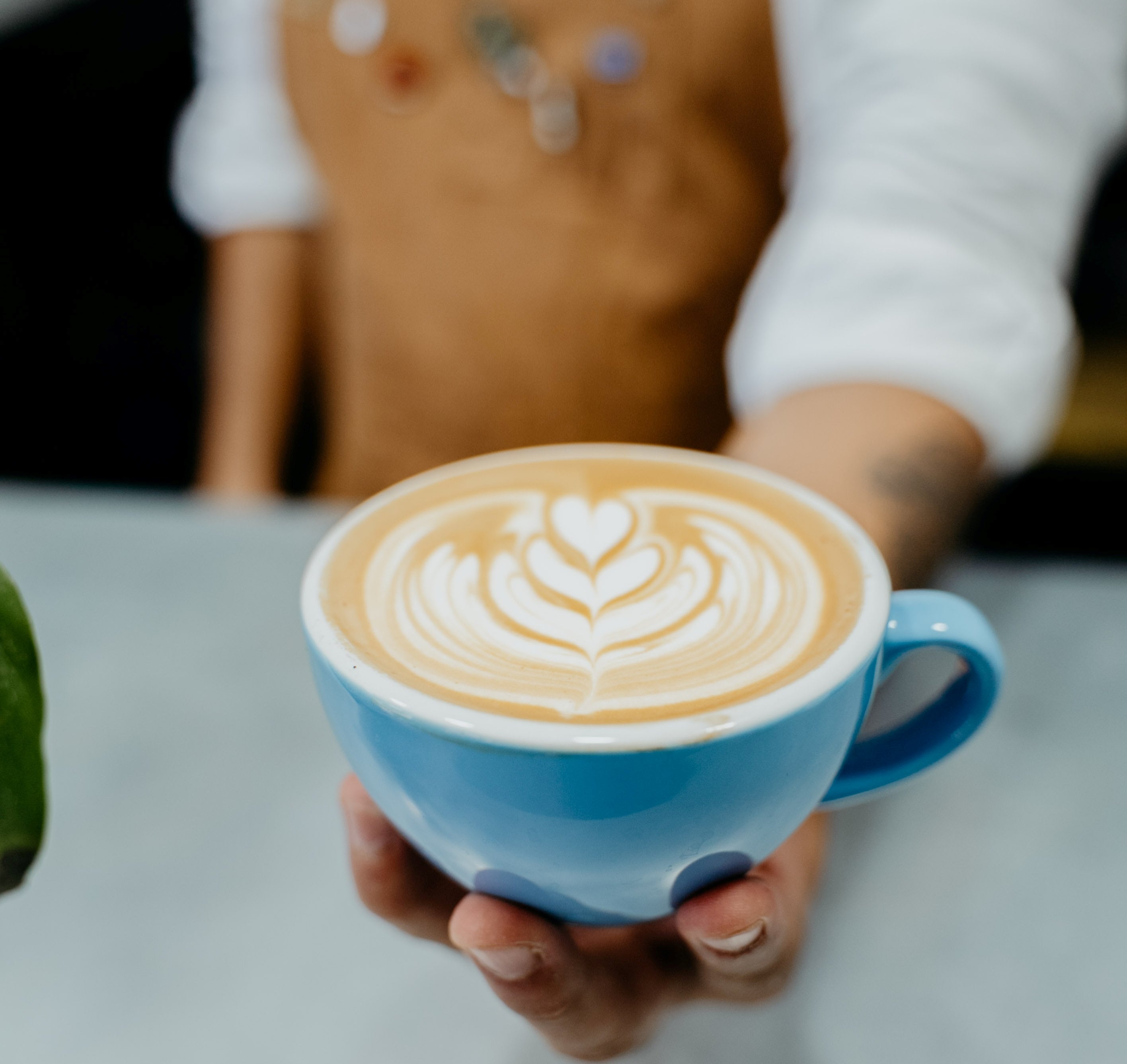 SCA Barista Intermediate