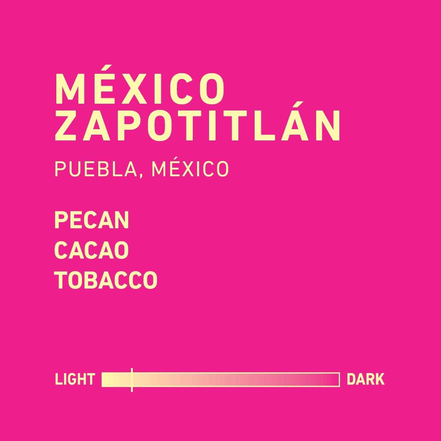 México Zapotitlán Washed